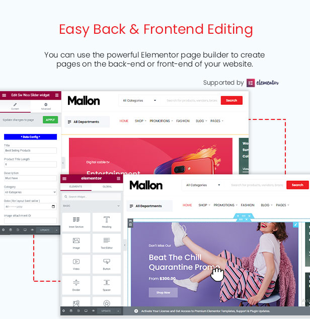 Mallon - Medical Store Elementor WooCommerce WordPress Theme - Backend Settings