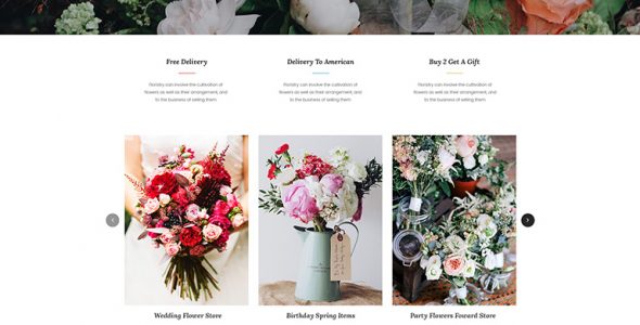 Floris-WordPress Theme