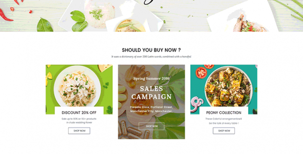 EcoMart-WordPress Theme