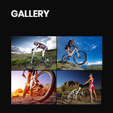 SW Instagram Gallery